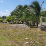 listing image thumbnail with ID 52649