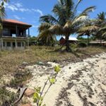 listing image thumbnail with ID 52427