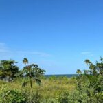 listing image thumbnail with ID 53764