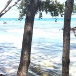 listing image thumbnail with ID 53836