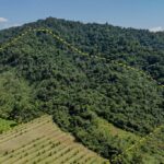 listing image thumbnail with ID 56198