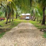 listing image thumbnail with ID 52367