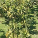 listing image thumbnail with ID 53990