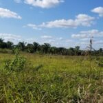 listing image thumbnail with ID 54493