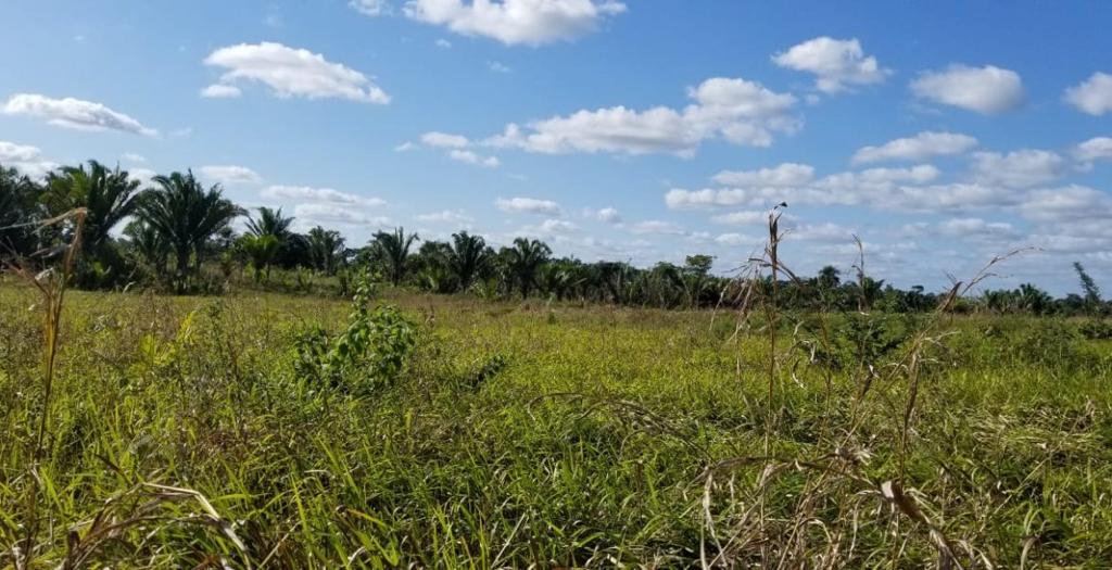 listing image with ID 54493