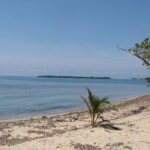 listing image thumbnail with ID 54642