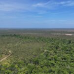 listing image thumbnail with ID 51773