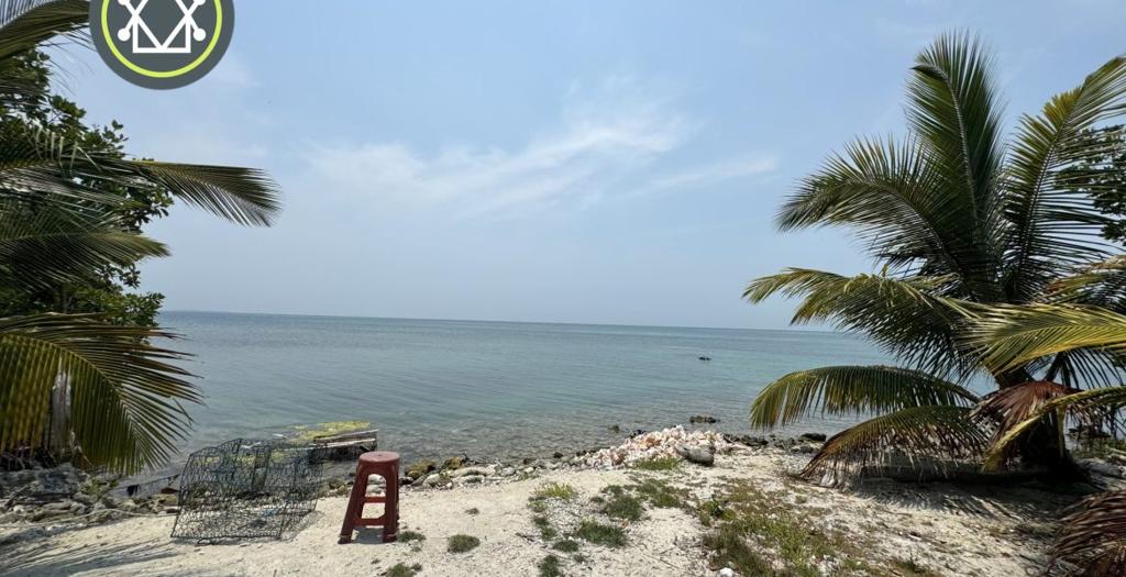 listing image with ID 53207