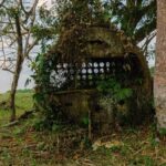 listing image thumbnail with ID 52893