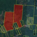 listing image thumbnail with ID 52335