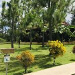 listing image thumbnail with ID 53163