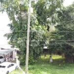 listing image thumbnail with ID 52354