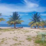 listing image thumbnail with ID 53647