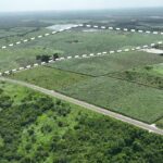 listing image thumbnail with ID 56440