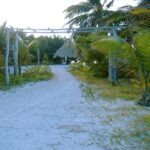 listing image thumbnail with ID 54300