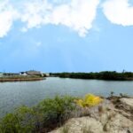 listing image thumbnail with ID 52142