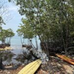 listing image thumbnail with ID 53211