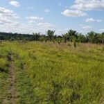 listing image thumbnail with ID 54496