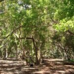 listing image thumbnail with ID 53837