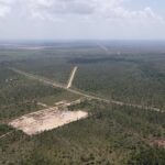 listing image thumbnail with ID 54336