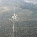 listing image thumbnail with ID 53922