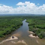 listing image thumbnail with ID 55744