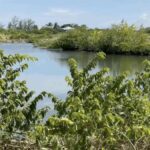 listing image thumbnail with ID 52605