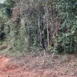 listing image thumbnail with ID 54483