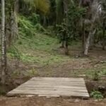 listing image thumbnail with ID 54094