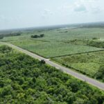 listing image thumbnail with ID 56441