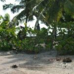 listing image thumbnail with ID 53544