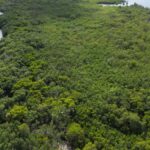 listing image thumbnail with ID 52268