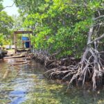 listing image thumbnail with ID 53199