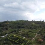 listing image thumbnail with ID 54228