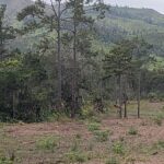 listing image thumbnail with ID 52302