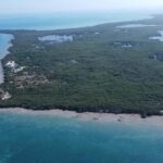 listing image thumbnail with ID 52420