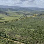 listing image thumbnail with ID 53944