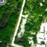 listing image thumbnail with ID 53570