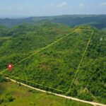 listing image thumbnail with ID 56411