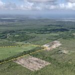 listing image thumbnail with ID 53947