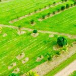 listing image thumbnail with ID 54215