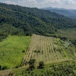 listing image thumbnail with ID 56196