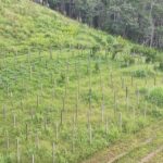 listing image thumbnail with ID 52378