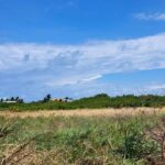 listing image thumbnail with ID 52604