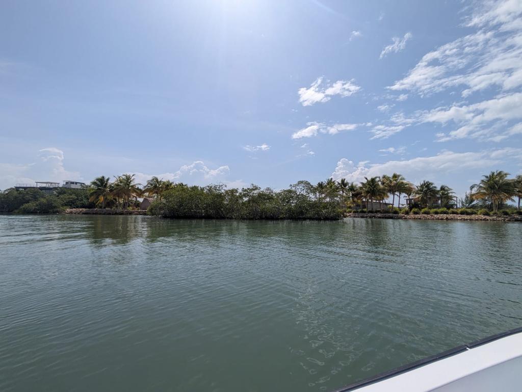 listing image with ID 52105