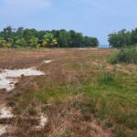 listing image thumbnail with ID 53203