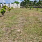 listing image thumbnail with ID 52643