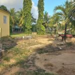 listing image thumbnail with ID 56182