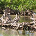 listing image thumbnail with ID 52791