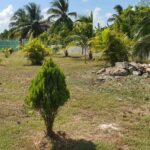 listing image thumbnail with ID 52648